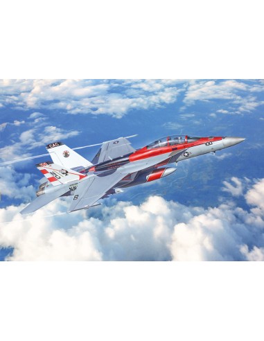 F/A-18F Super Hornet U.S. Navy Special Colors