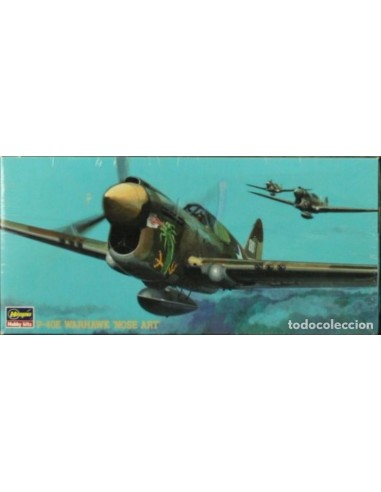 P-40E WARHAWK NOSE ART