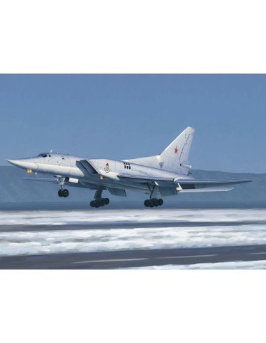 Tu-22M3 Backfire C Strategic bomber  LEER DESCRIPCION