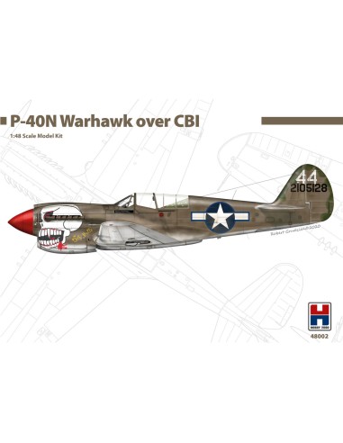 P-40N Warhawk sobre CBI