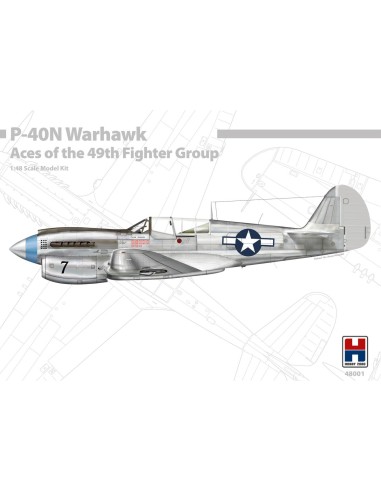 P-40N Warhawk Ases del 49º Grupo de Cazas