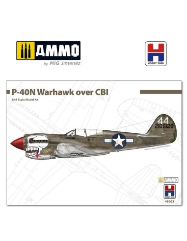 P-40N Warhawk over CBI