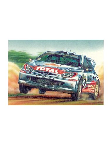 Peugeot 206 WRC 02